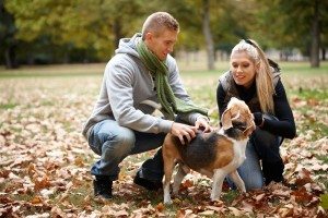 Young couple with dog in autumn park