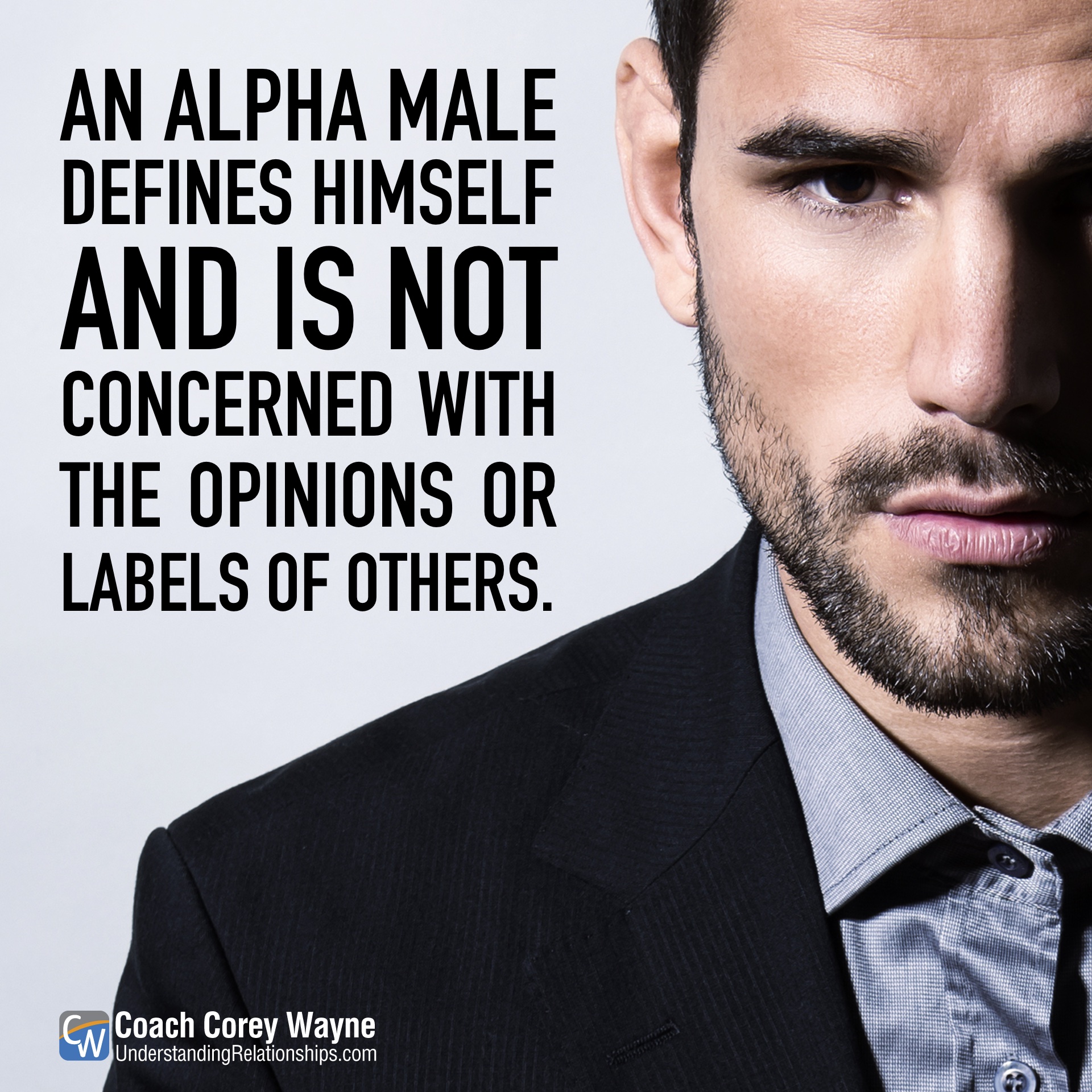 Alpha male quotes